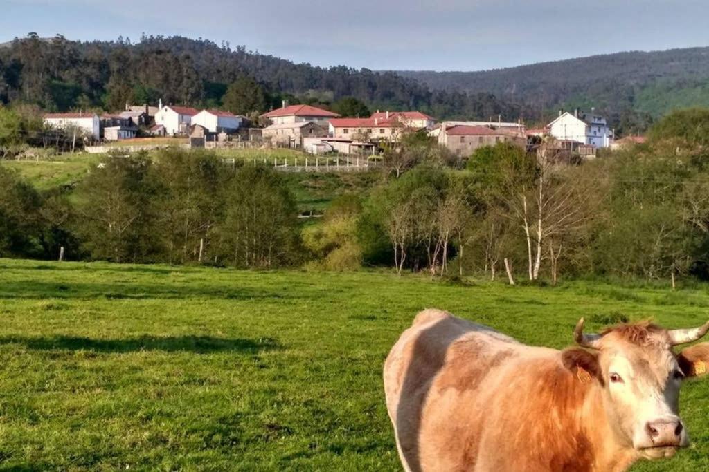 Casa Da Labaceira Villa Santo Tomé Dış mekan fotoğraf