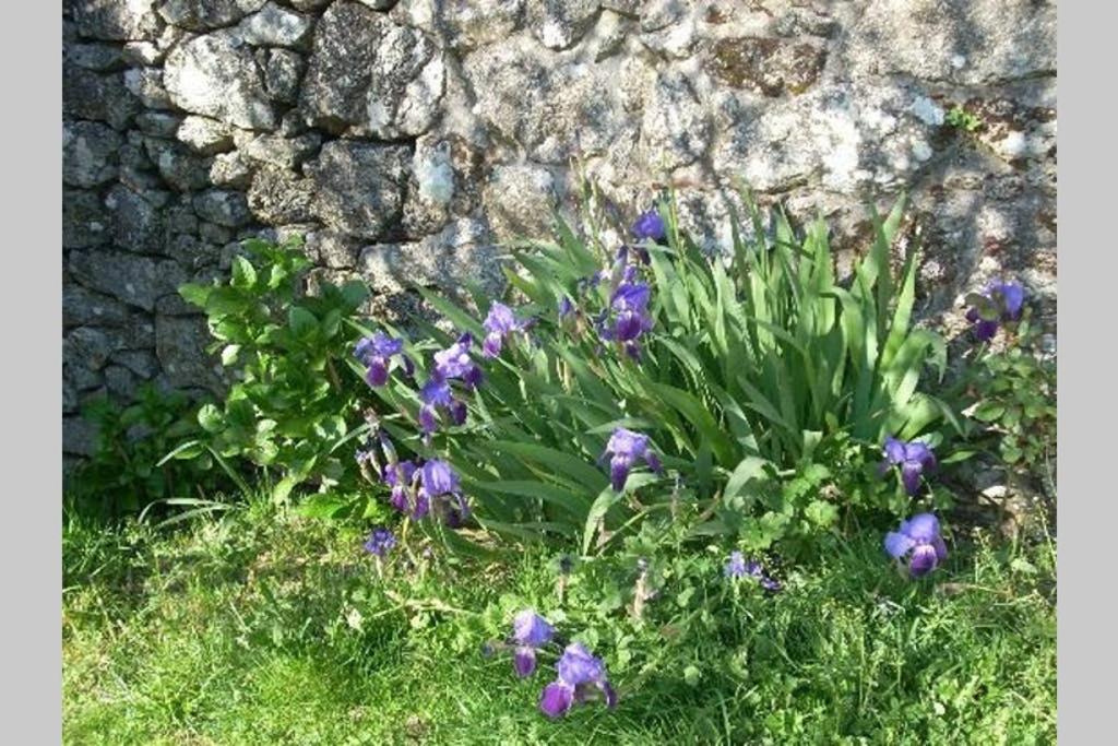 Casa Da Labaceira Villa Santo Tomé Dış mekan fotoğraf