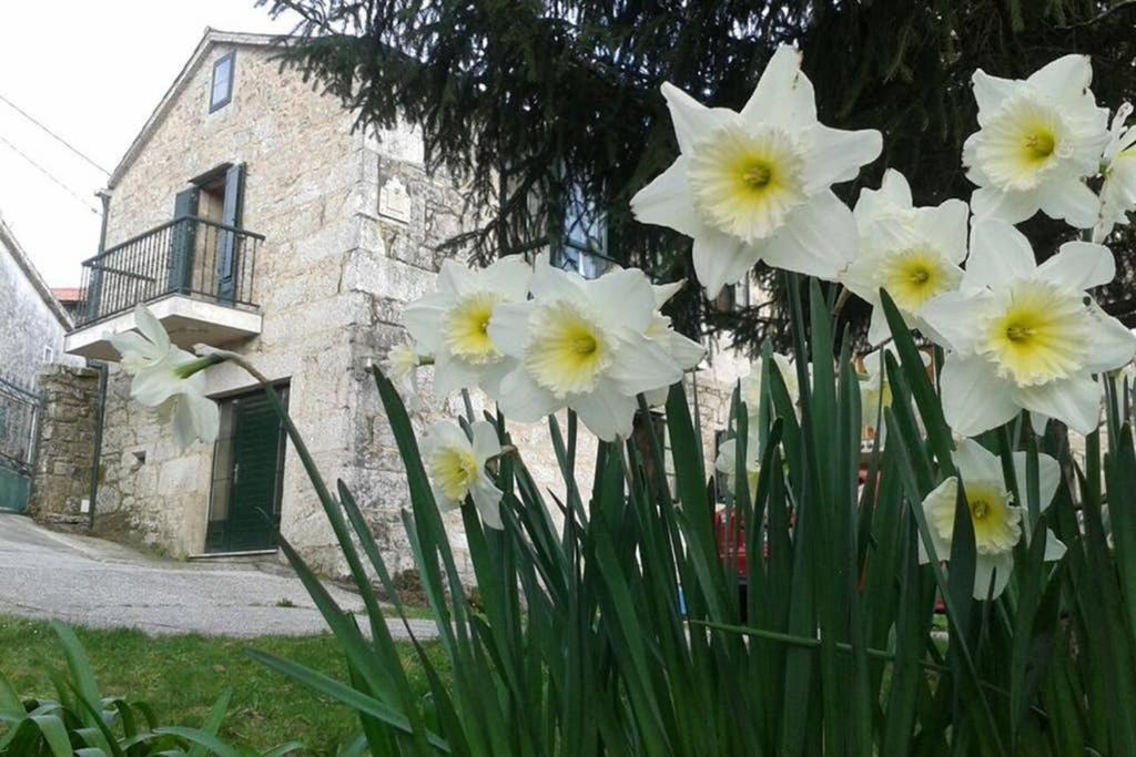 Casa Da Labaceira Villa Santo Tomé Dış mekan fotoğraf