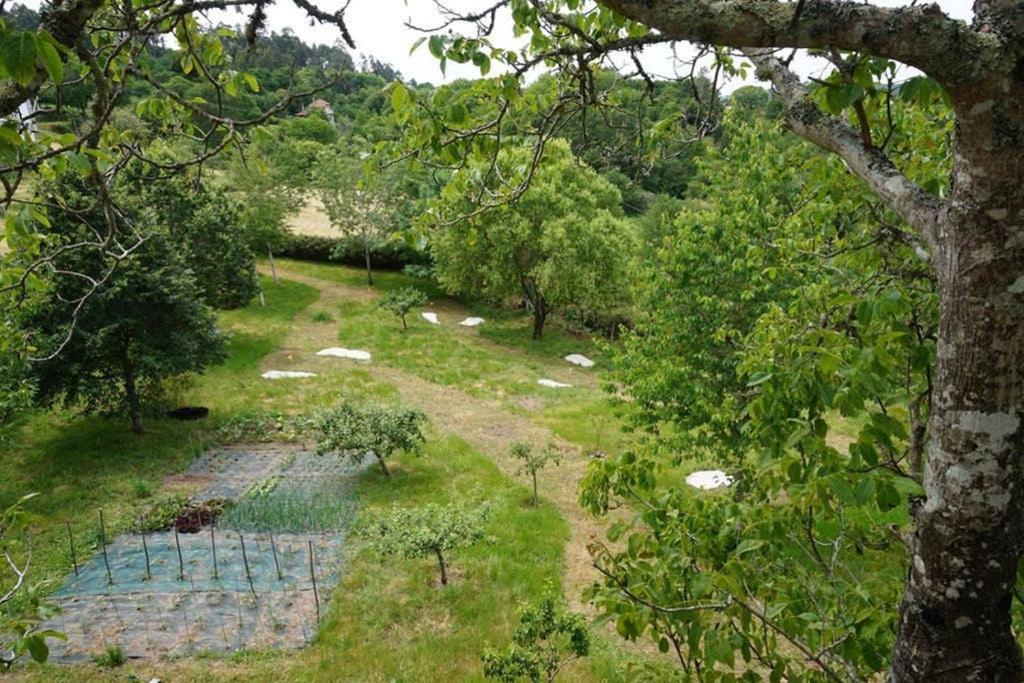 Casa Da Labaceira Villa Santo Tomé Dış mekan fotoğraf